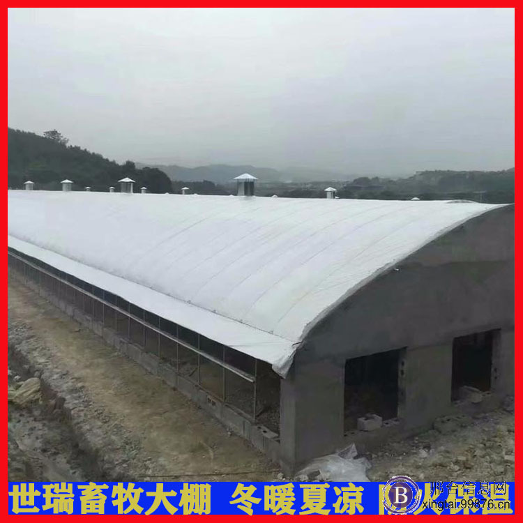 定制养猪大棚 猪舍大棚建设 养猪棚搭建厂家