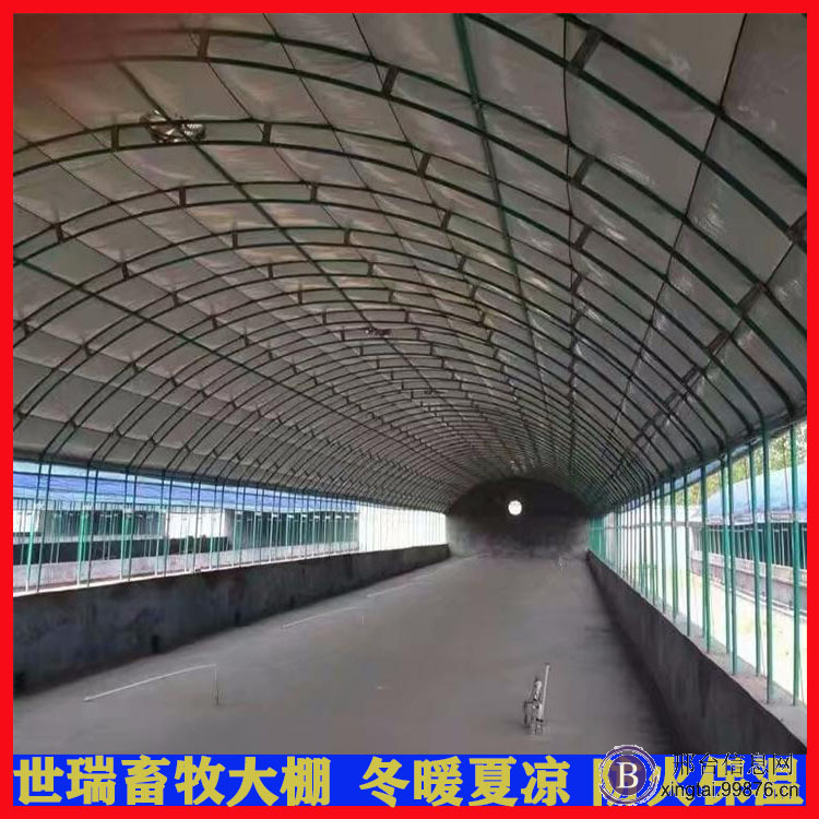 定制养猪大棚 猪舍大棚建设 养猪棚搭建厂家