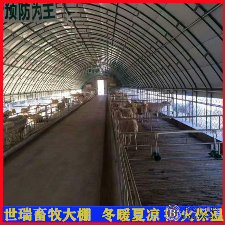 山羊养殖棚建设 肉羊养殖大棚搭建 保温羊舍大棚安装