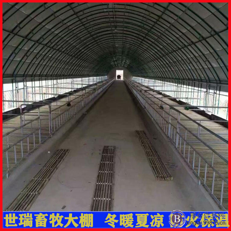 山羊养殖棚建设 肉羊养殖大棚搭建 保温羊舍大棚安装