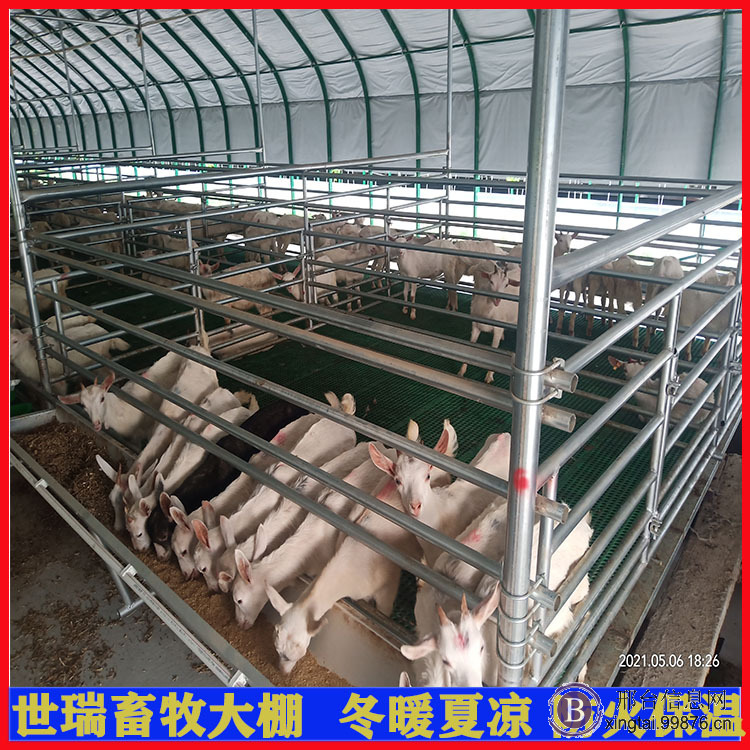 山羊养殖棚建设 肉羊养殖大棚搭建 保温羊舍大棚安装
