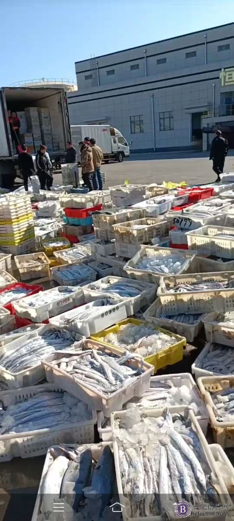 招聘装卸工,出海船员