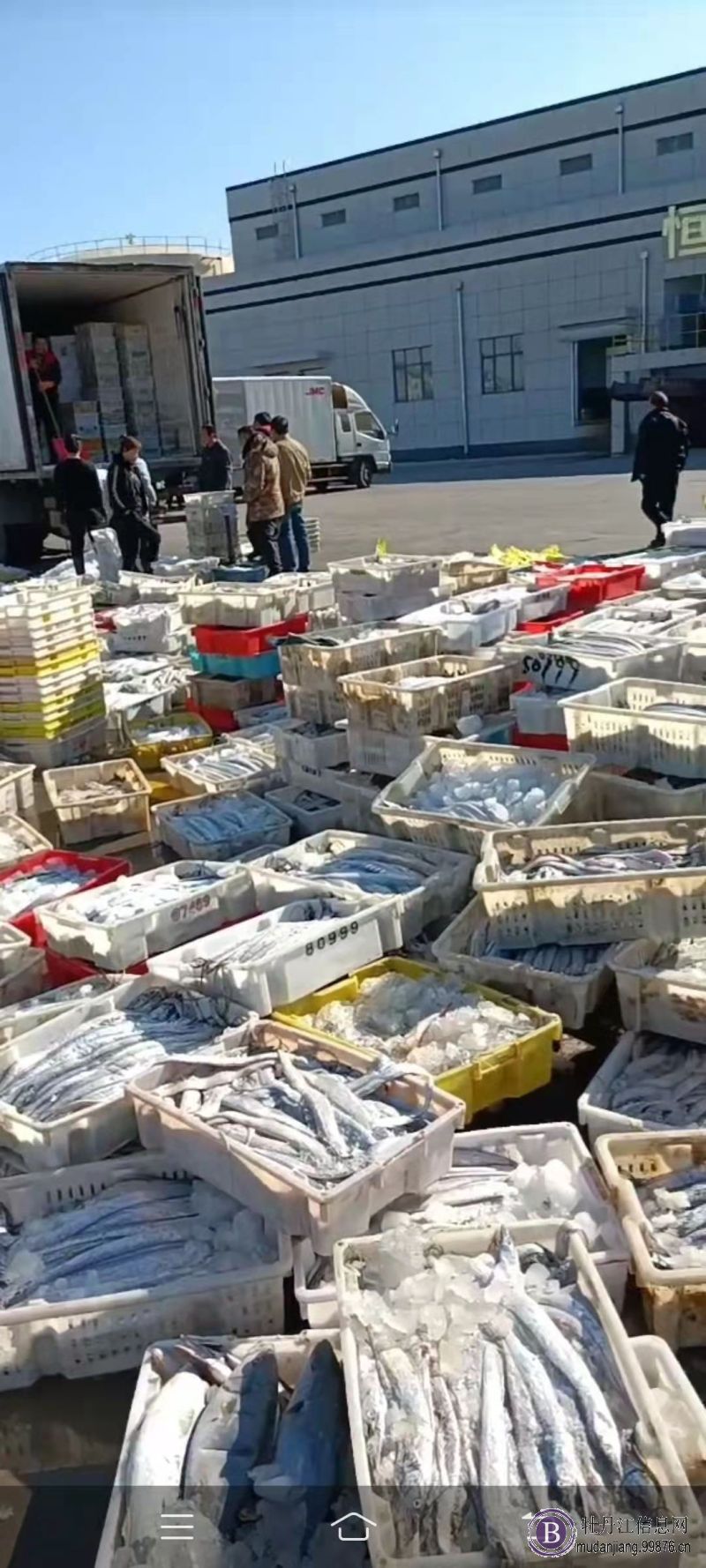 招聘装卸工,出海船员