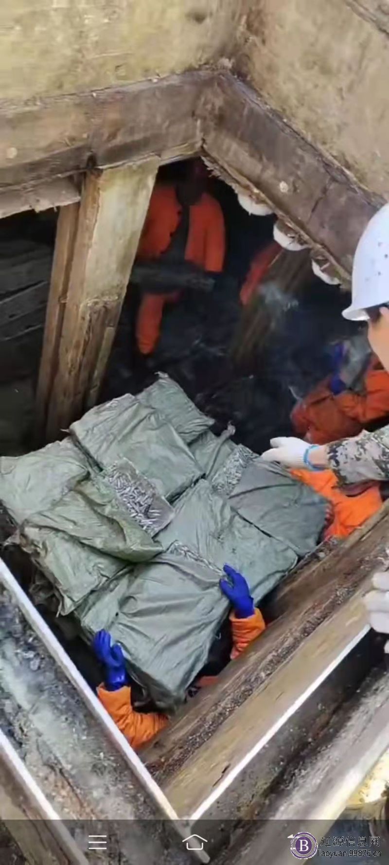 招聘装卸工,出海船员