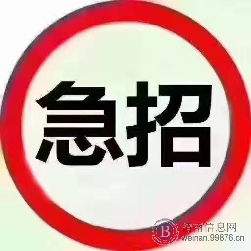 宁夏红墩子煤业招正式工