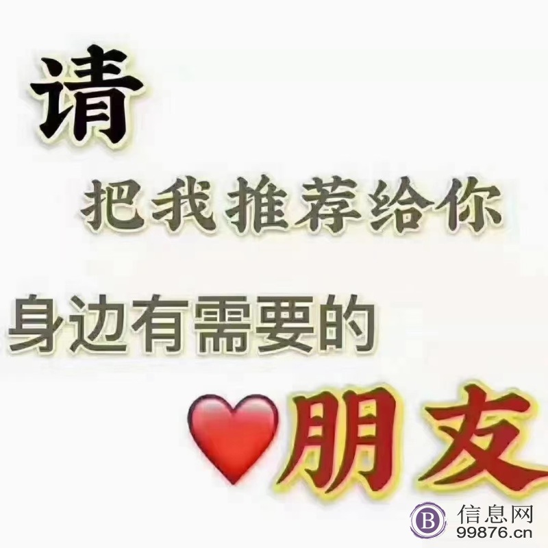 保险、年检